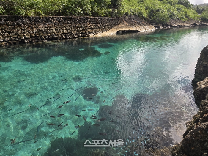 신비로운 옥빛 물결이 인상적인 남부의 숨은 명소. 맑고 투명한 물속을 들여다보며 잠시 사색에 잠기기 좋은 곳이다. 괌 | 원성윤 기자 socool@sportsseoul.com