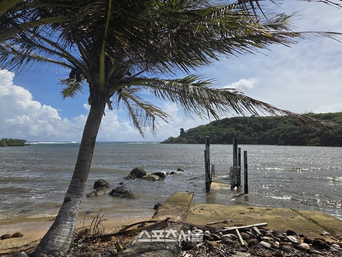 괌 최남단 메리조 부두의 한적한 풍경. 기울어진 야자수와 낡은 나무 데크가 만들어내는 고즈넉함이 남부 드라이브의 정취를 더한다. 괌 | 원성윤 기자 socool@sportsseoul.com