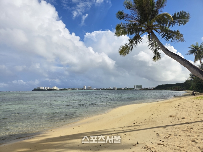 괌 남부 투어의 시작점, 사우스 마린 코프스 드라이브 해안가 한 카페 앞 해변의 평화로운 풍경. 기울어진 야자수와 투명한 바다가 본격적인 여행의 시작을 알린다. 괌 | 원성윤 기자 socool@sportsseoul.com