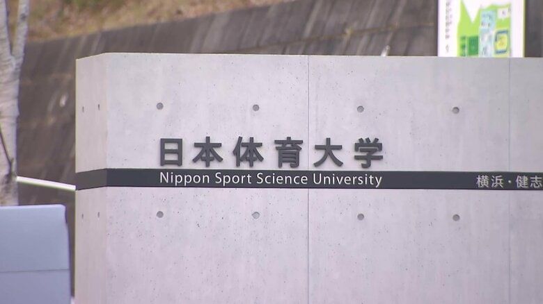 引用：FNN