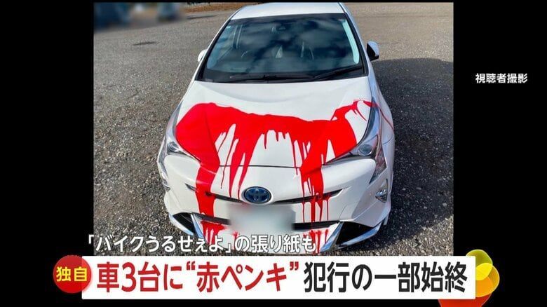 引用:FNN