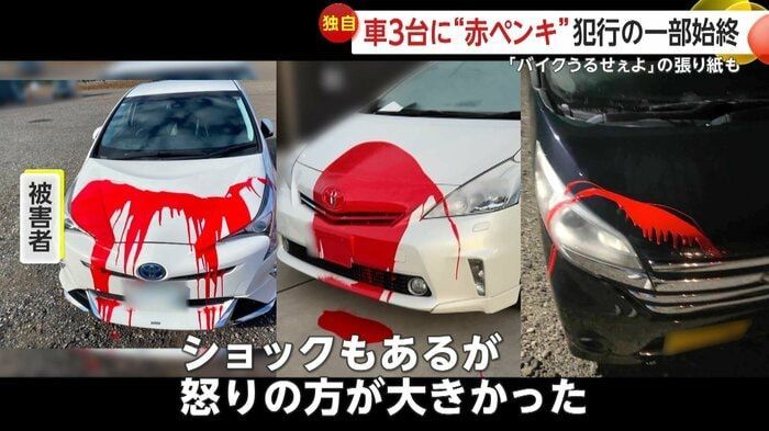 引用:FNN