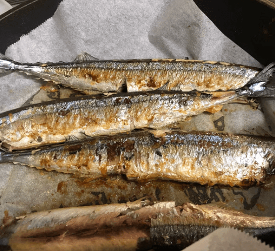 온라인 커뮤니티