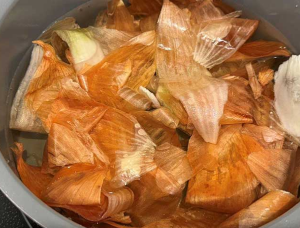 온라인 커뮤니티