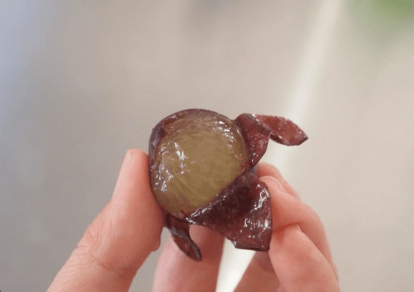 온라인 커뮤니티
