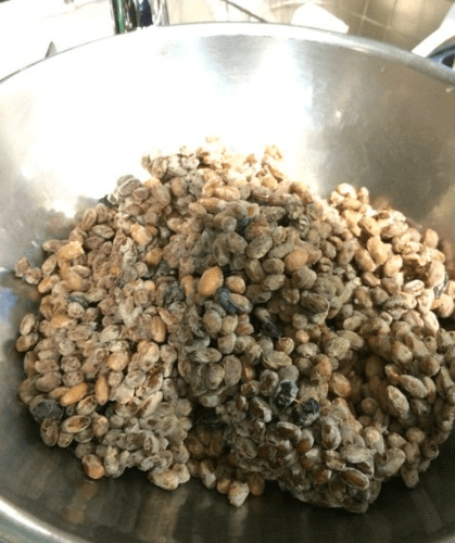 온라인 커뮤니티