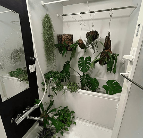 온라인 커뮤니티