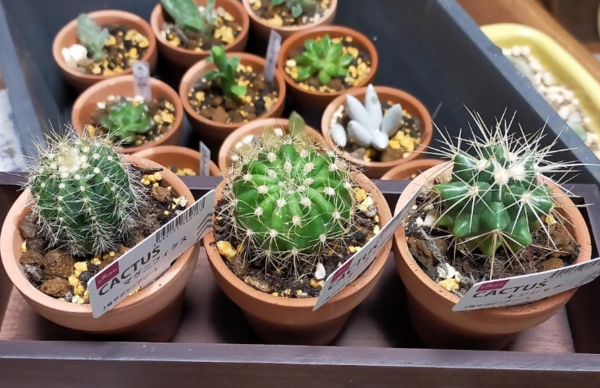온라인 커뮤니티