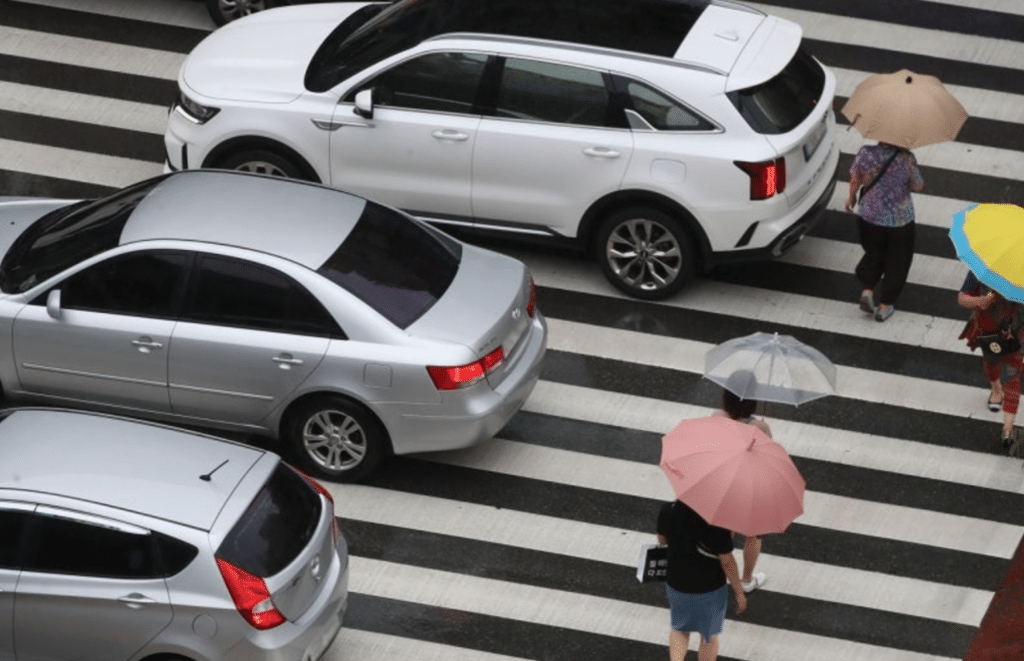 AI 단속 카메라 도입