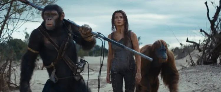 引用：ウォルト・ディズニー・カンパニー・コリア