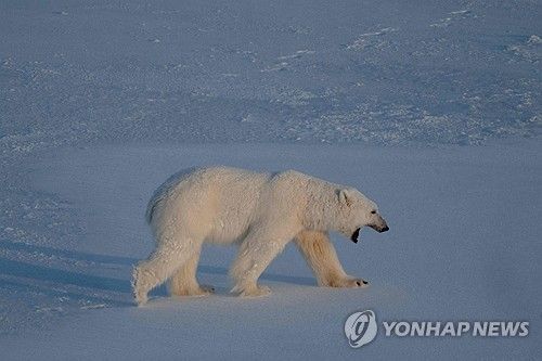 出典： AFP通信