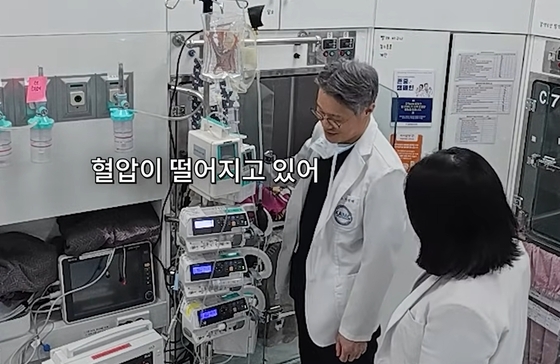 As if caressing a hand model, placing it atop the head actually lowered blood pressure and brought stability to Peanut (Capture from Korea Animal Medical Center\'s YouTube channel) / News1