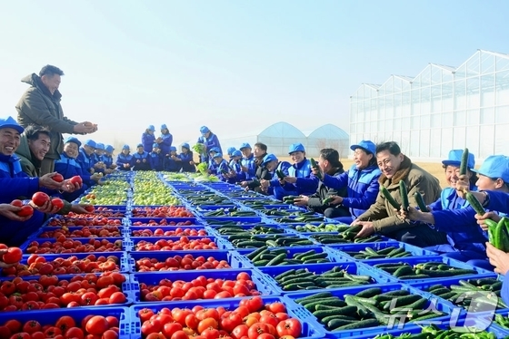 The Rodong Sinmun, the official newspaper of North Korea\'s Workers\' Party, reported on Monday that the newly established Sinuiju Greenhouse Complex Farm presented a heartwarming scene of the first spring vegetable harvest / Rodong Sinmun