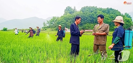 The Rodong Sinmun, the official newspaper of North Korea\'s Workers\' Party, reported on February 4 that scientific and technological methods are being used for rice paddy irrigation management in Sungchon County / Rodong Sinmun