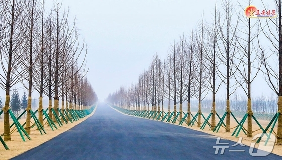 The Rodong Sinmun, the official newspaper of North Korea\'s Workers\' Party, reported on February 6 that an unprecedented large-scale greenhouse complex has risen majestically in the northwest border region of the homeland. This achievement was made possible by the outstanding leadership of the Workers\' Party of Korea, which directs and subordinates everything to the advancement of the people\'s rights and welfare and the enhancement of their well-being, ushering in an era of unprecedented construction prosperity and the zenith of self-reliance and self-respect / Rodong Sinmun