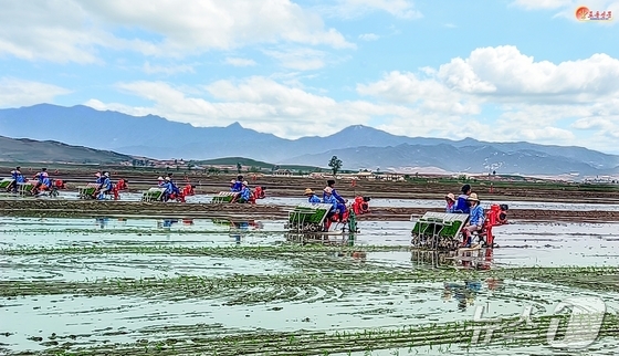 Scene from North Korea\'s Rice Transplanting and Field Crop Fertilization Management Technical Training Session / Rodong Sinmun