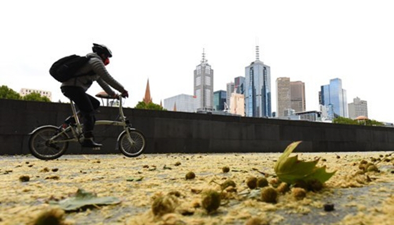 PEP20200325120601848_P2_20200325113031785