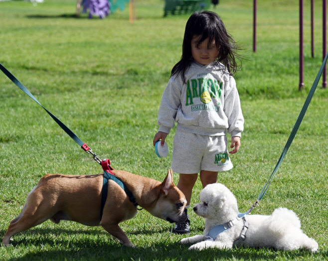 [포토]가을에는 반려견과 산책하기