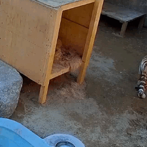 이영실 서울시의원