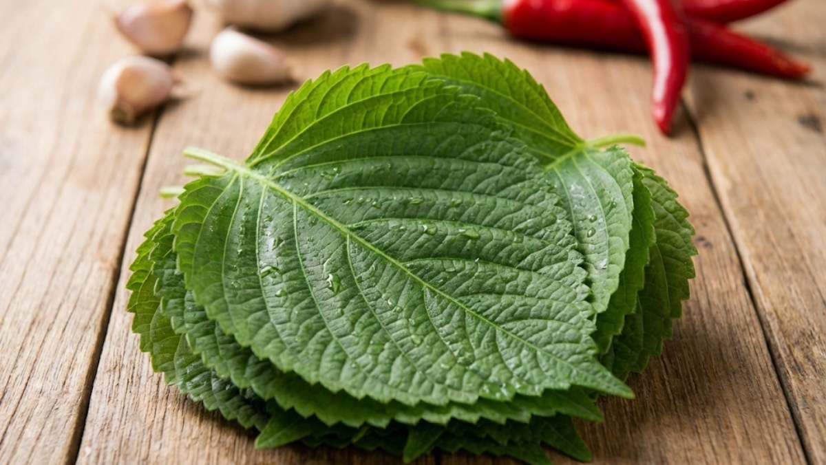 &nbsp;   Fresh perilla leaves ready for rolling / AI-generated image inspired by the article