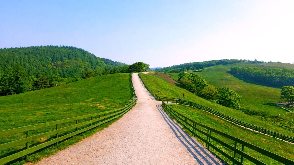 Discover the Hidden Gem: Seosan Hanwoo Pasture’s Wellness Trail Opening in 2024