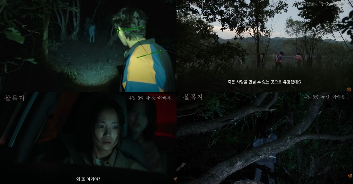 引用：YouTubeチャンネル「SHOWBOX」