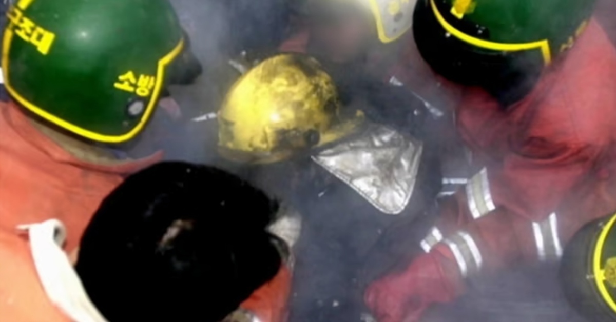 引用:Disney+バラエティ番組『占い師たちの運命バトル』