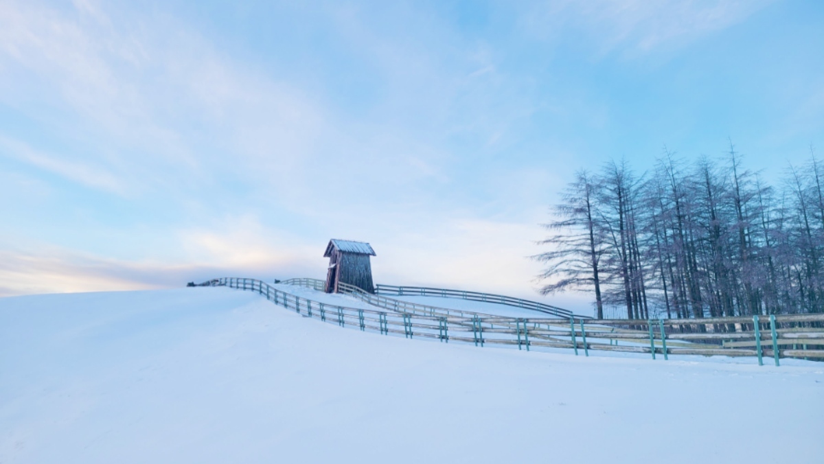 Top 5 Reasons to Visit Daegwallyeong Sheep Farm This Winter: An Unforgettable Experience Awaits!
