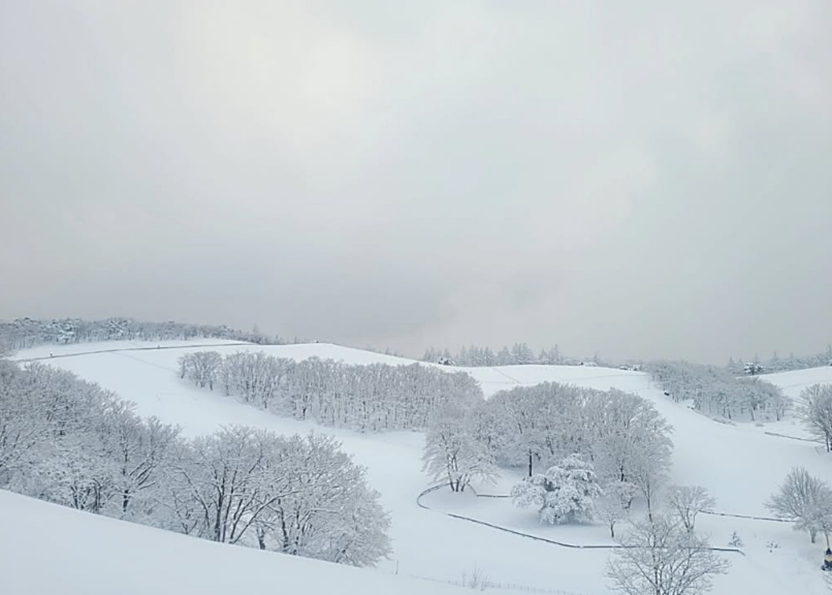 &nbsp;   Winter Magic at the Ranch / Daegwallyeong Sheep Ranch Instagram