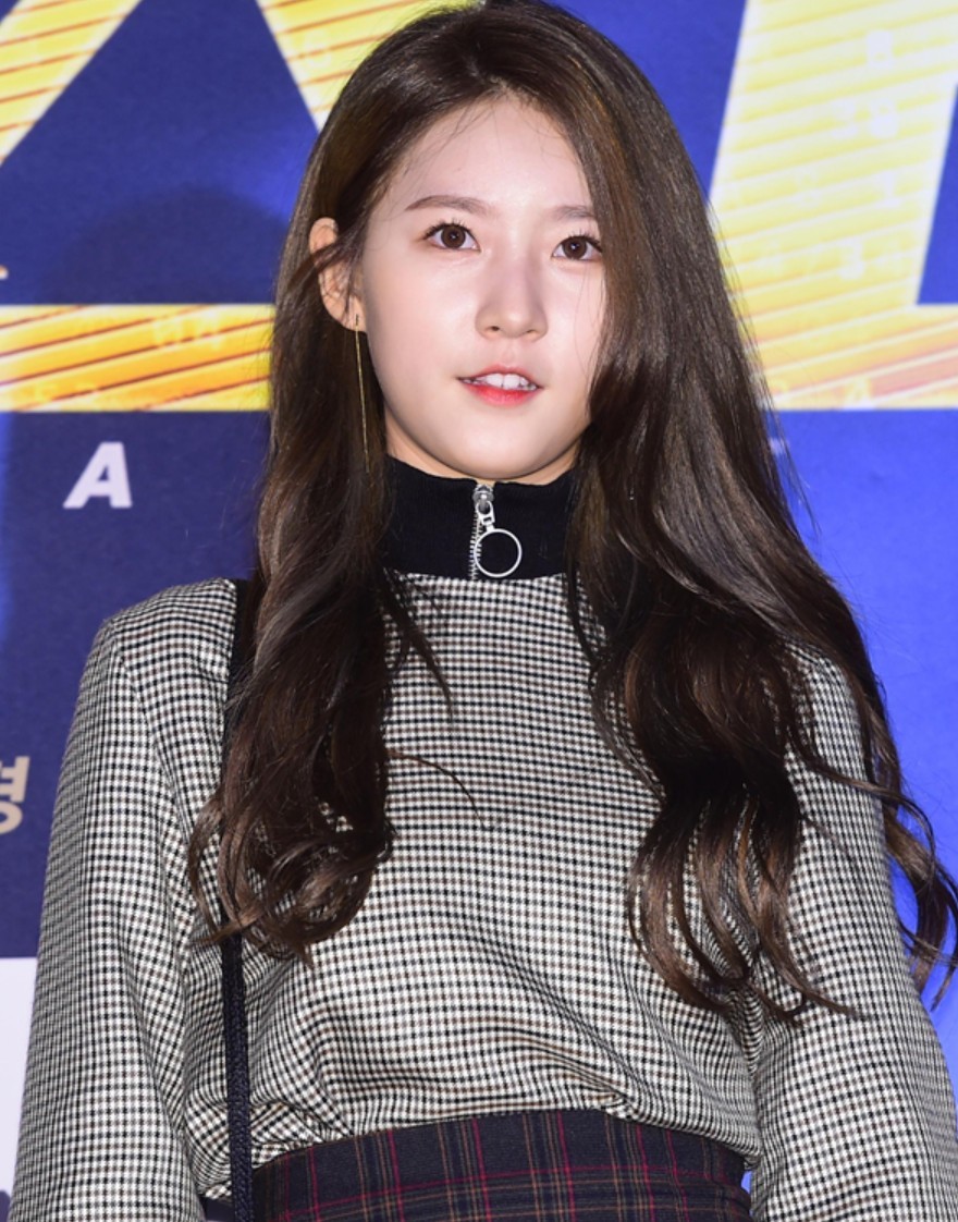 引用:ニュース1