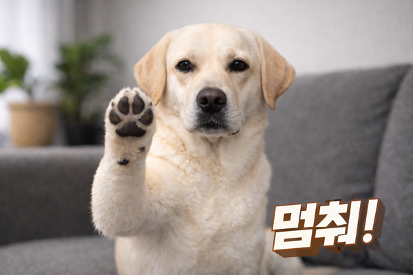AI로 만든 레브라도 리트리버의 모습. ⓒ허프포스트코리아