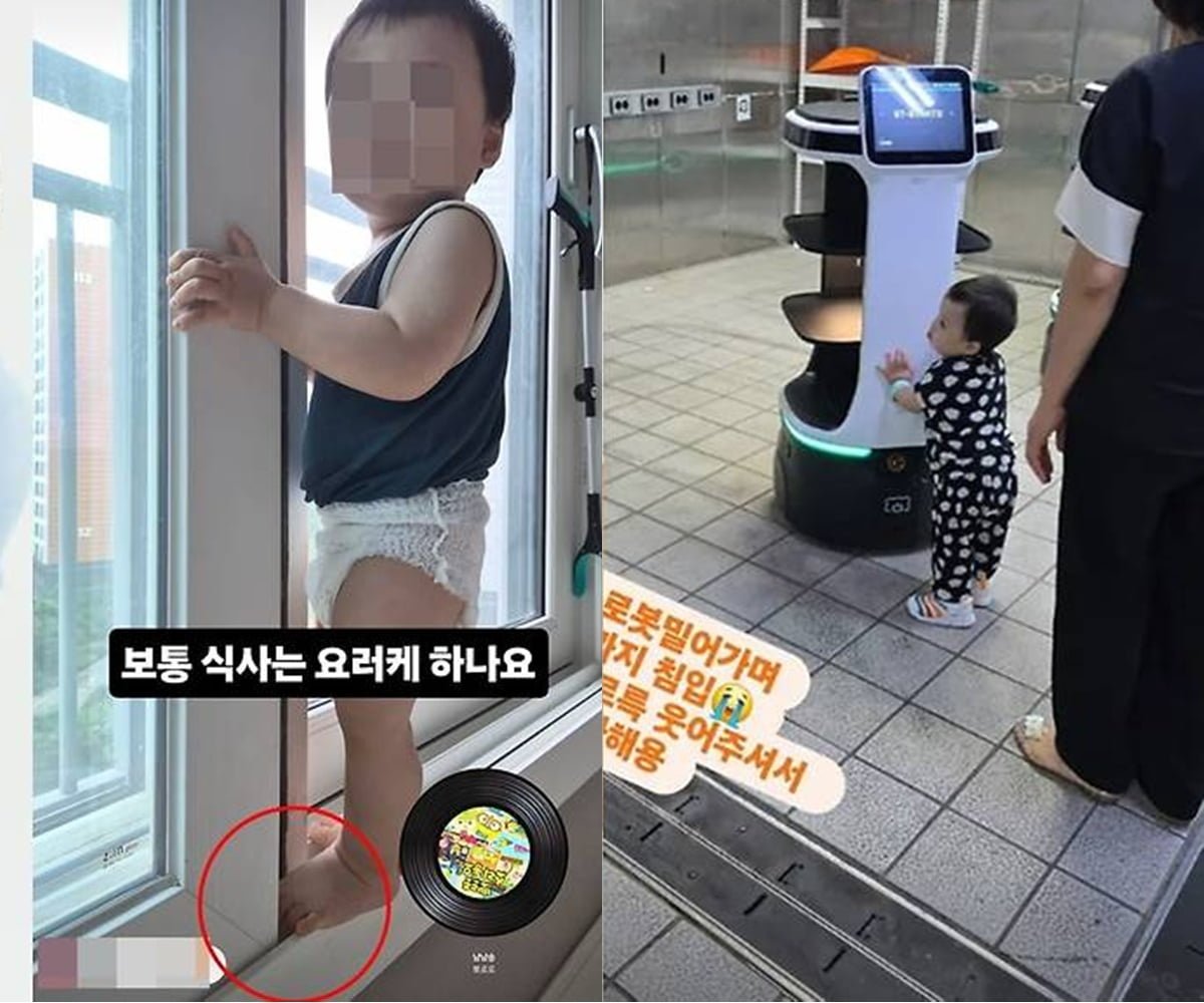 引用：報道資料