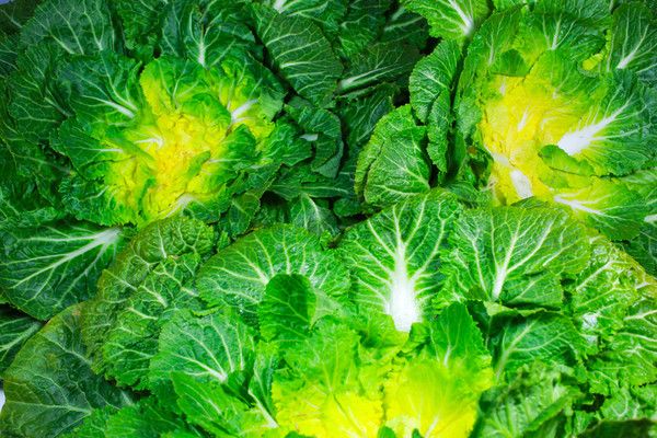 ⓒ게티이미지뱅크