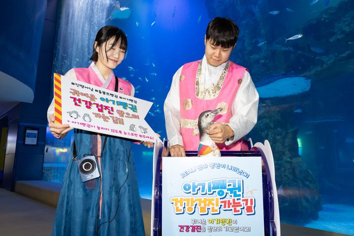 건강검진을 받으러 가는 아기 펭귄.ⓒ롯데월드