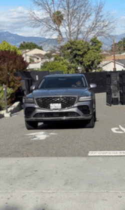 ⓒ 온라인 커뮤니티 갈무리