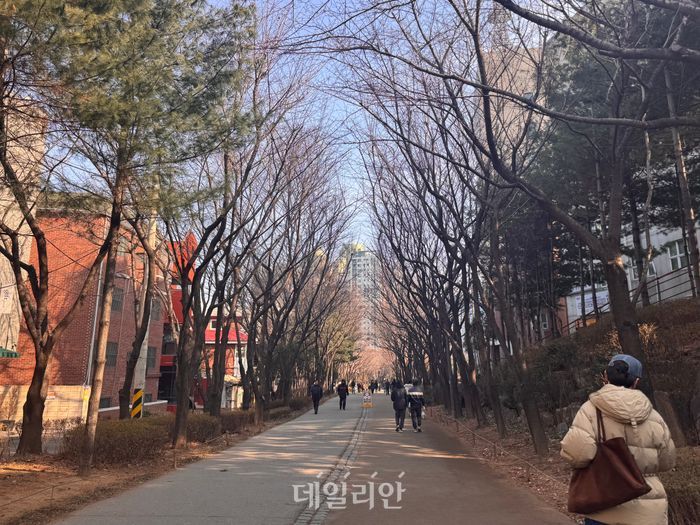 설 연휴 서울 마포구 경의선숲길 풍경 ⓒ데일리안 오수진 기자