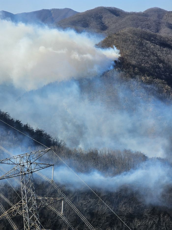 8일 경북 경주시 문무대왕면 입천리의 야산이 산불 연기로 덮여 있다. 소방 당국 등은 전날부터 이어진 산불을 진화하고 있다.ⓒ경북소방당국