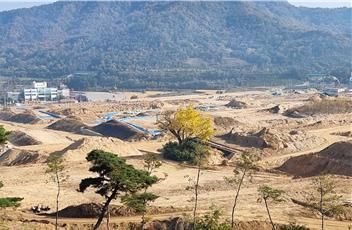 마을에 공단이 들어서면서 한가운데 덩그러니 남아 있는 은행나무