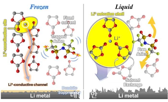 얼음 전해질의 이온 전달 경로와 수지상 억제 효과.ⓒUNIST