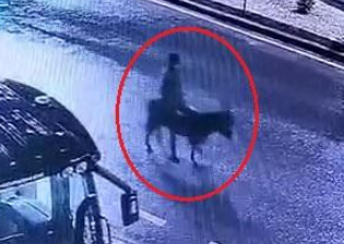 ⓒ하베를레르 갈무리