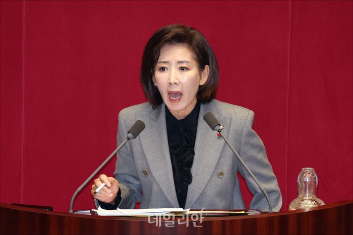 나경원 국민의힘 의원 ⓒ데일리안 홍금표 기자