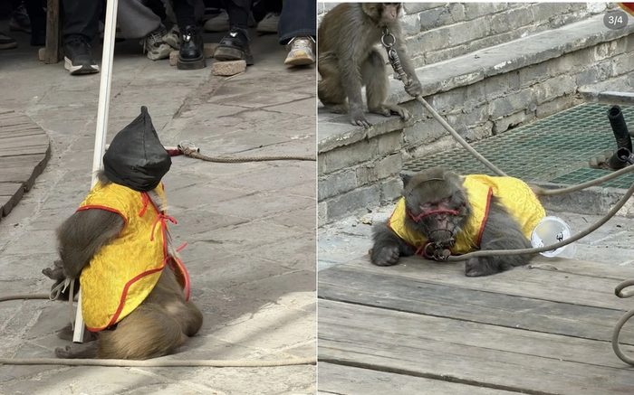 ⓒ웨이보·연합뉴스