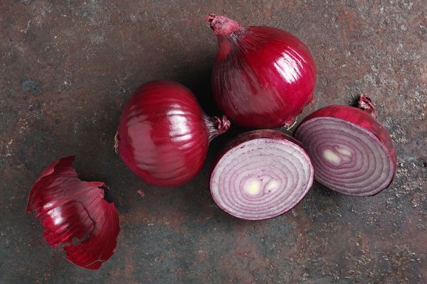 ⓒ게티이미지뱅크