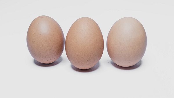 ⓒ게티이미지뱅크