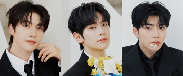 티브이데일리 포토