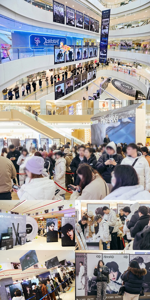 티브이데일리 포토