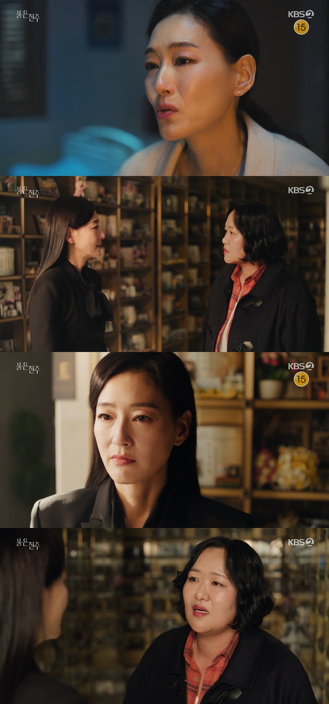 티브이데일리 포토