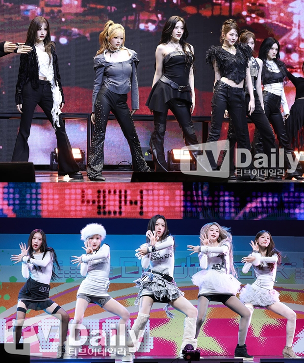 티브이데일리 포토