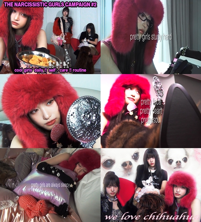 티브이데일리 포토