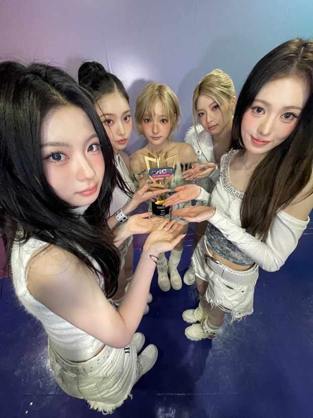 티브이데일리 포토